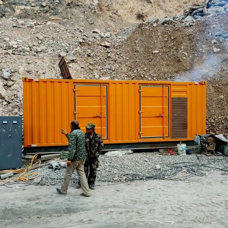 阳山如何选择适合自己的 800KW 柴油发电机组？